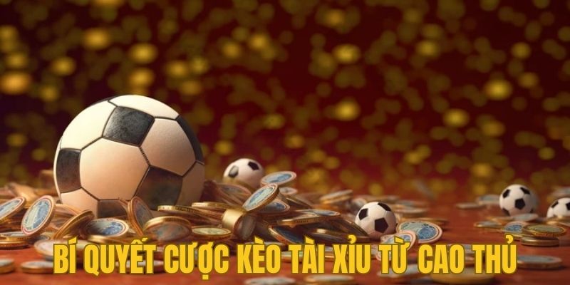 Bí quyết từ cao thủ khi cược kèo Tài Xỉu