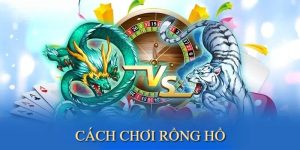 Cách Chơi Rồng Hổ SHBET Thu Tiền Thưởng Khủng Trong Tích Tắc