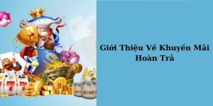 Khuyến Mãi Hoàn Trả SHBET - Cược Liền Tay Nhận Ưu Đãi Ngay