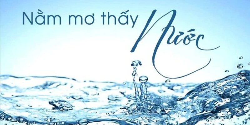 Nằm Mơ Thấy Nước Có Điềm Gì? Đánh Con Mấy Thì Thắng Lớn?